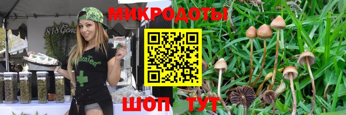 Галлюциногенные грибы мицелий  Псилоцибиновые грибы Cubensis  Богородск  Вход с VPN 