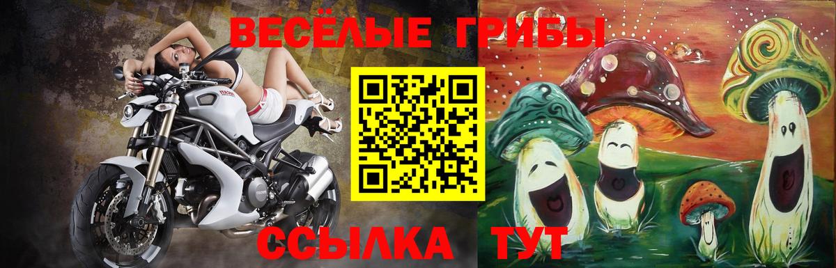 Псилоцибиновые грибы Magic Shrooms Богородск